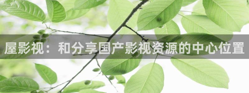秋霞成人伦理影院