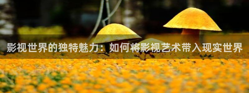 理论片秋霞网