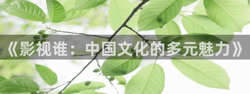 秋霞电影在线观看.