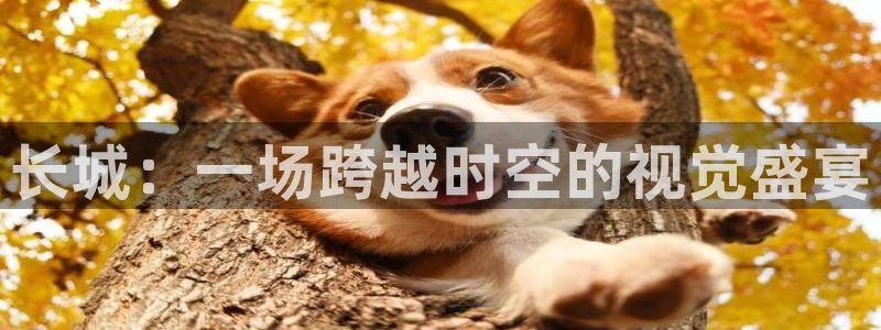 快播电影网秋霞