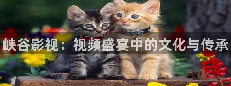 神马影院秋霞电影网