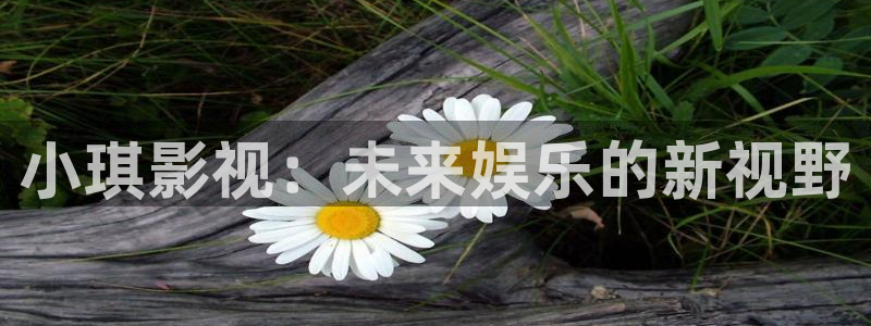 秋霞影视欧美高清蜜桃
