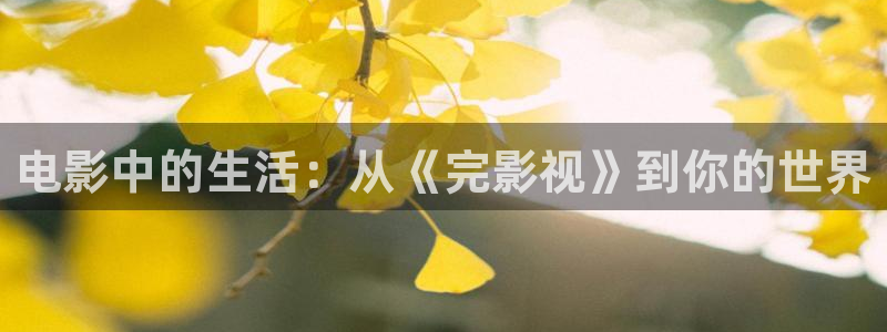 秋霞电影网国产