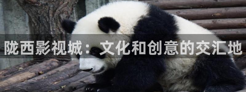 手机看片日韩秋霞