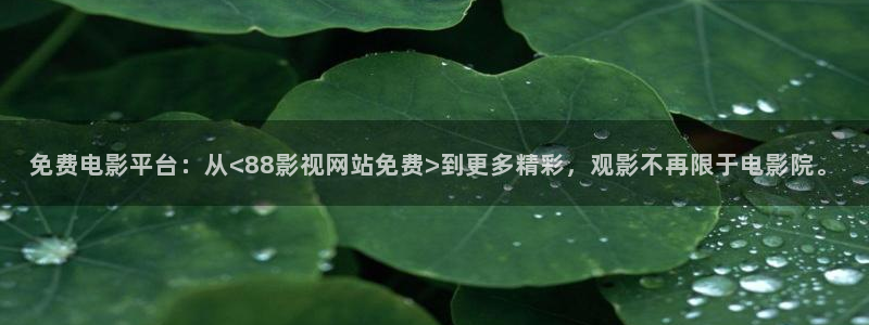 黄色秋霞电影网
