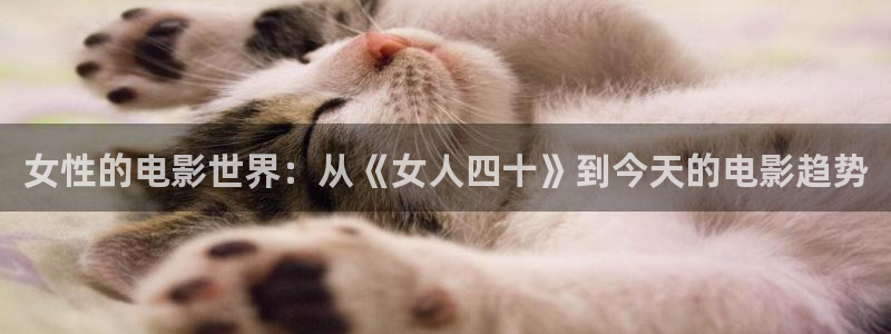 秋霞电影一级