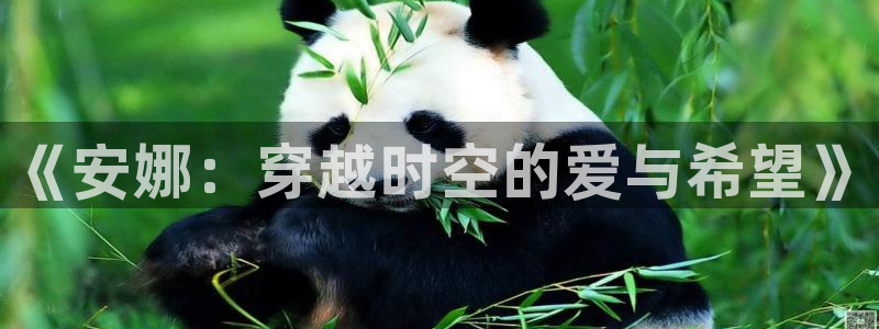 秋霞神马电影在线观看