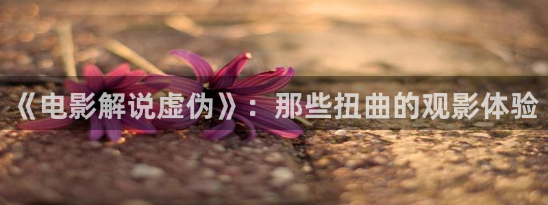 秋霞电视网