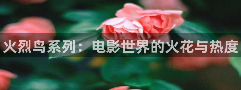 新闻图片