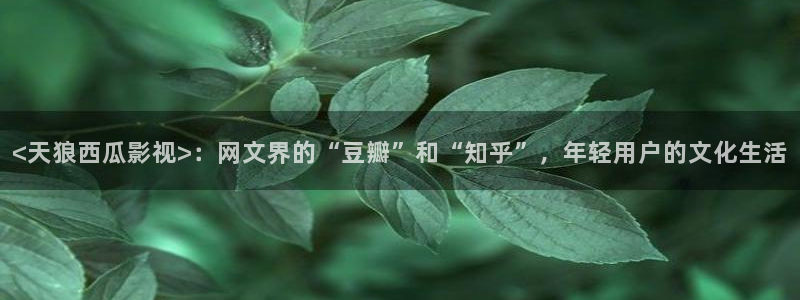 秋霞电源网