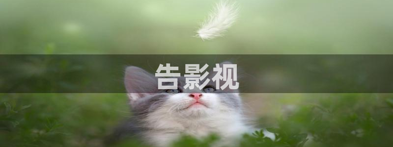 秋霞影院在线观看视频