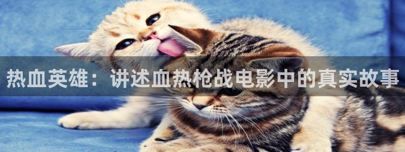 秋霞毛毛片