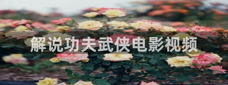 快播秋霞网