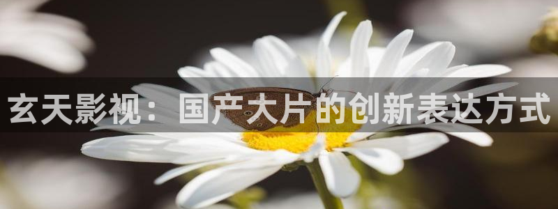 秋霞电影街