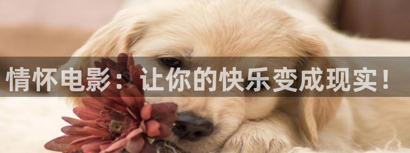 秋霞影院韩国理论