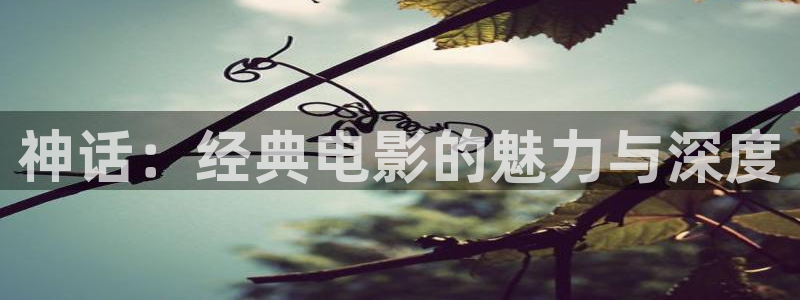 秋霞网红桃视频