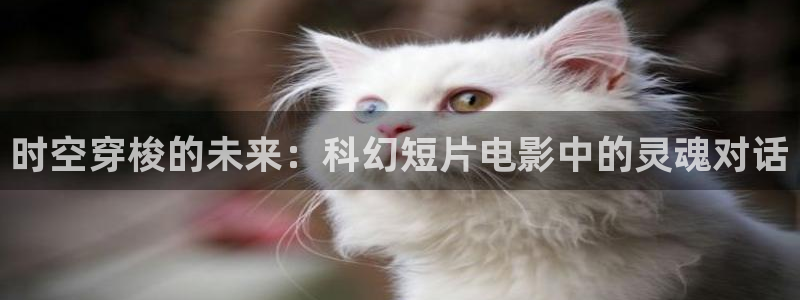 秋霞免费看电影