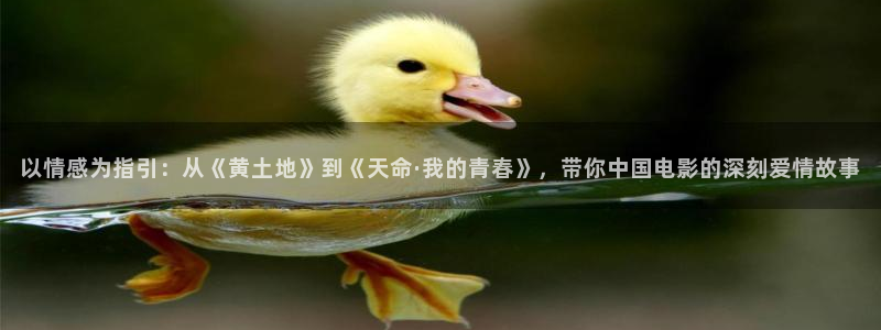 秋霞网秋霞网