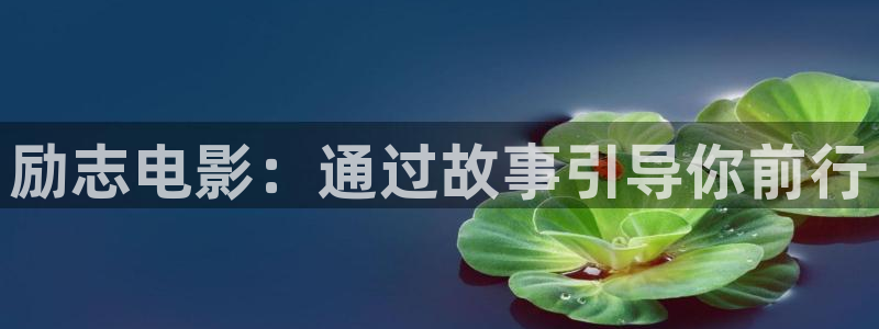 秋霞2828电影网