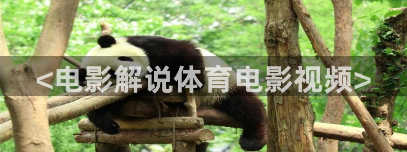 秋霞电影限