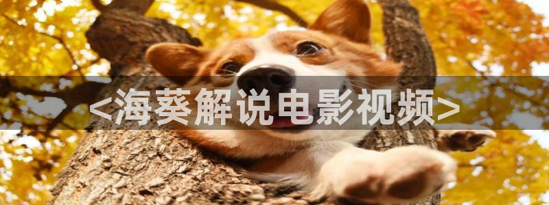 秋霞电影化