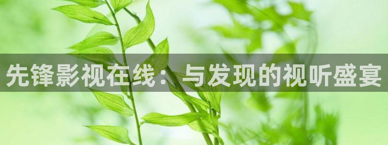 秋霞欧美网