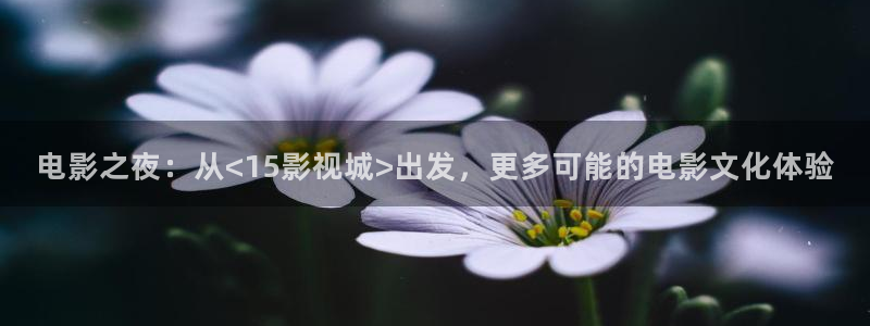 秋霞第九网