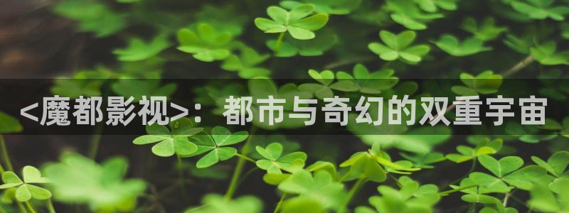 秋霞电影网理伦片