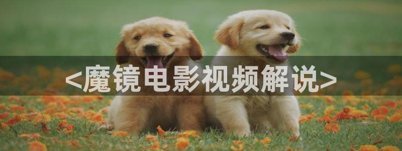 秋霞,网