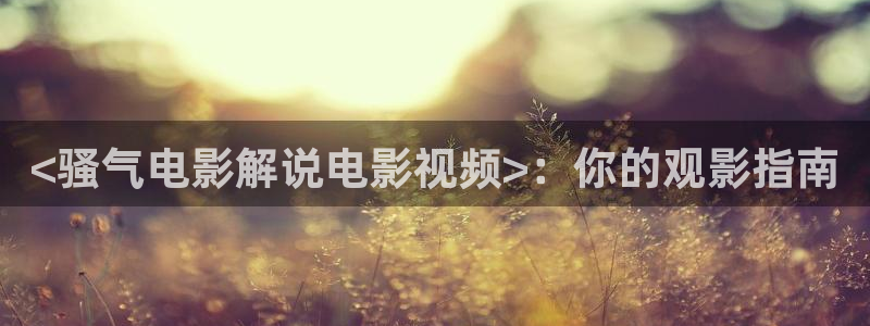 秋霞电影院午夜伦高清在线观看