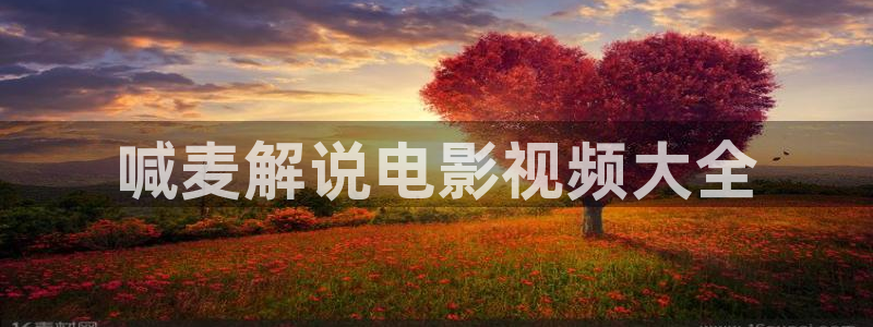 秋霞网理论在线看