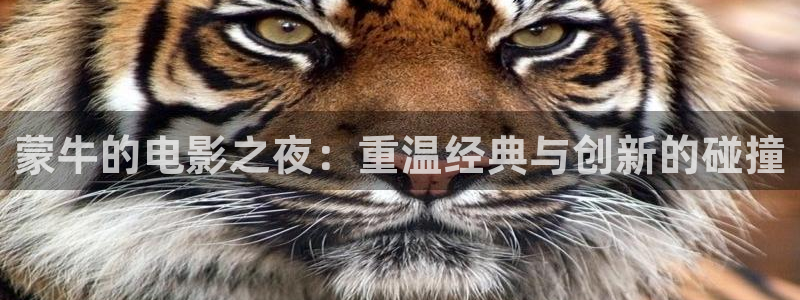 秋霞,影视