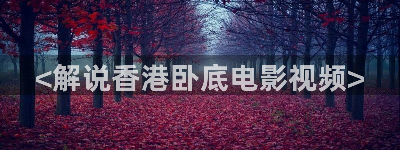 秋霞的网