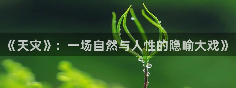 秋霞电影手机网