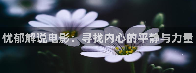 秋霞 电影 在线