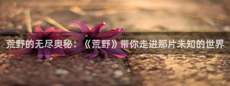 秋霞麻豆成人网