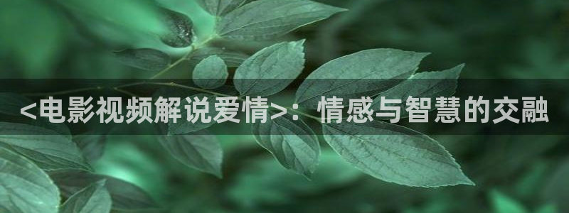 秋霞电影网在线观看免费版